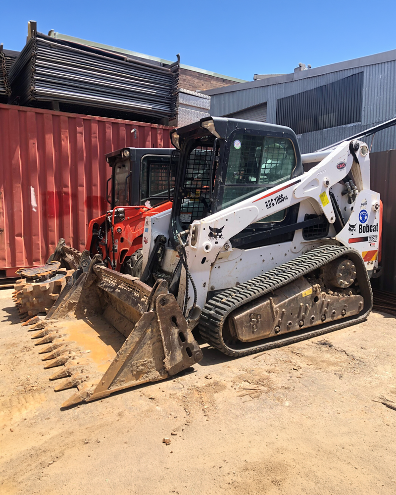 Bobcat