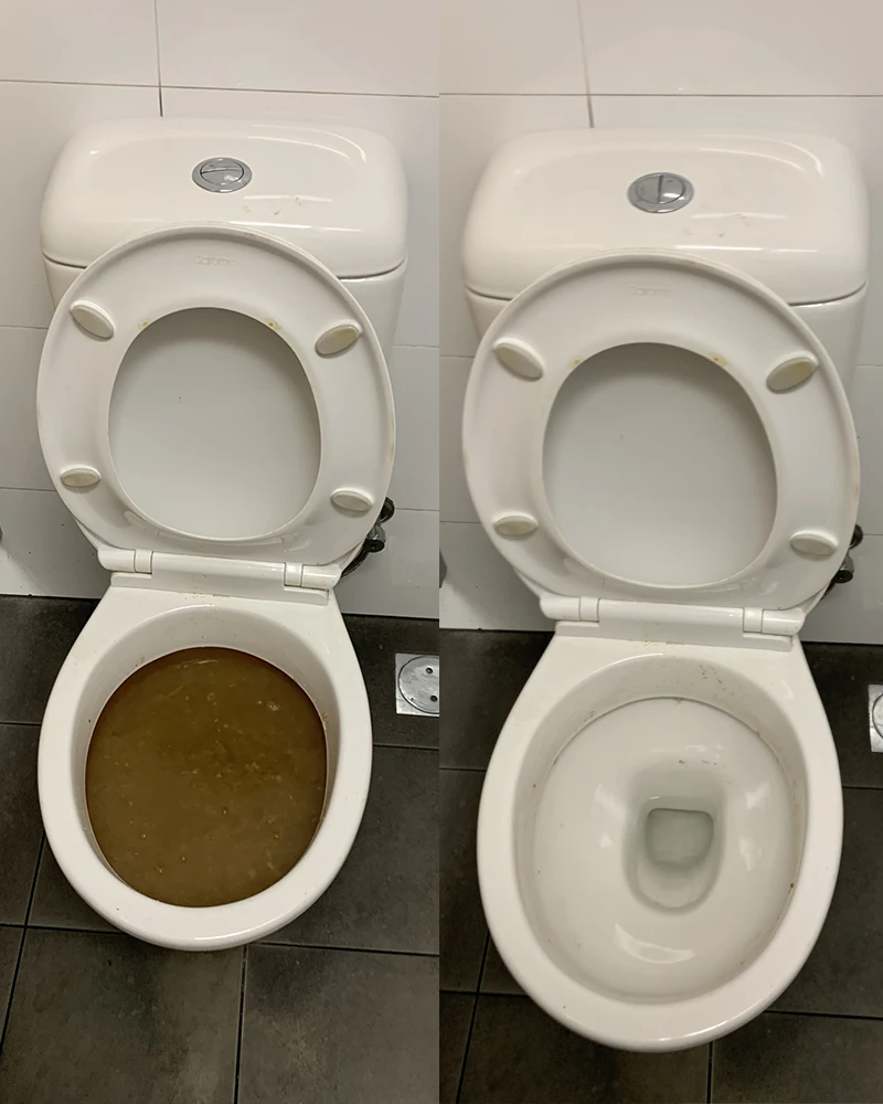 Blocked toilet
